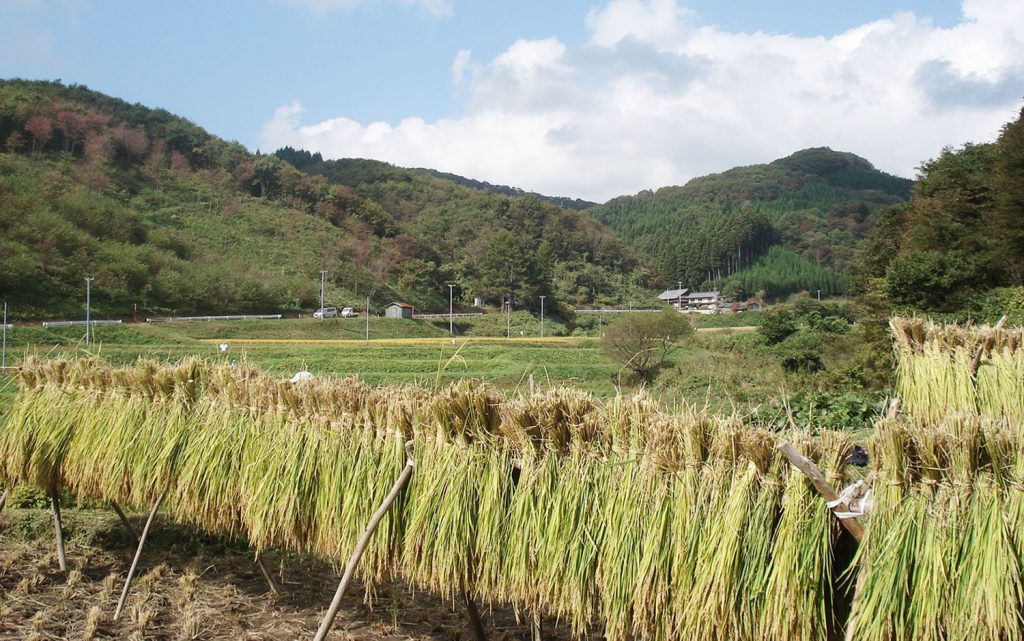 貝泊秋の風景